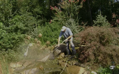 Spring Clean-Outs: Essential Pond Maintenance for Chicagoland Water Features