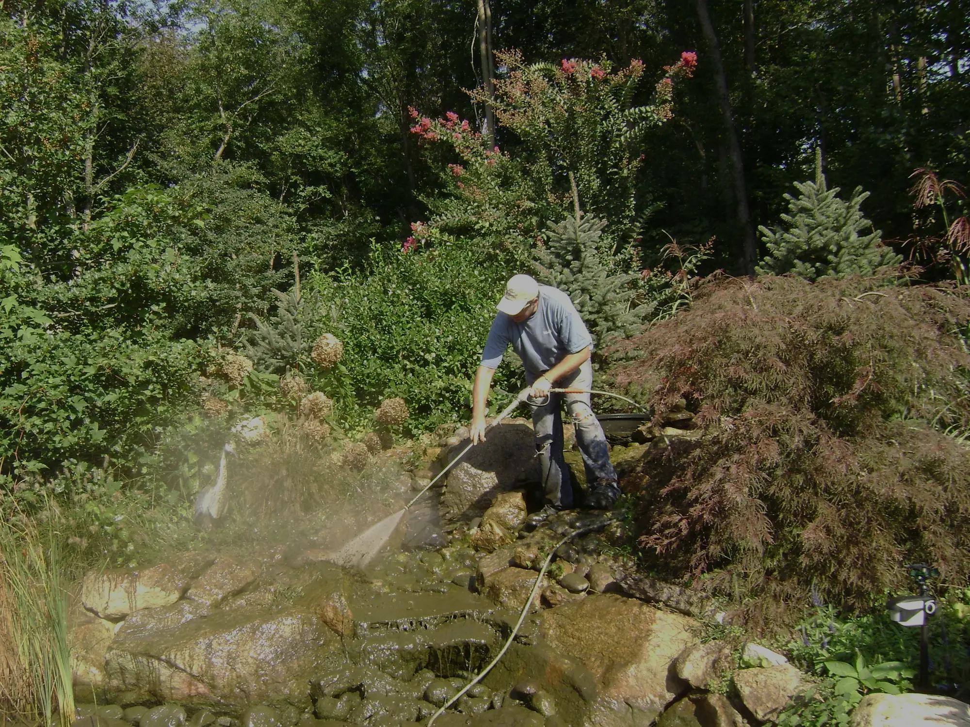 pond-maintenance-img-bg-atf