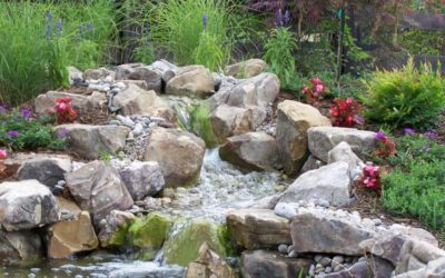 The Blueprint for Your Dream Backyard: What Our Design Consultation Includes
