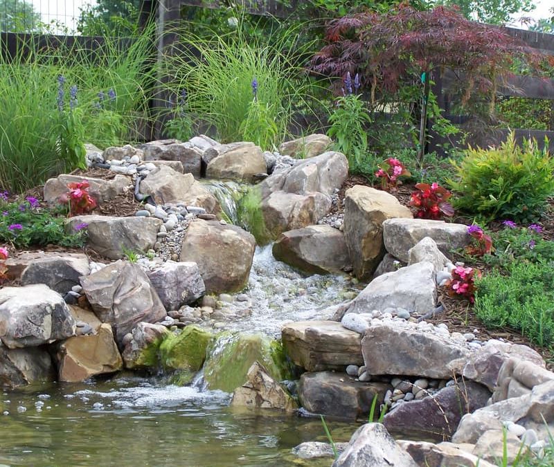 The Blueprint for Your Dream Backyard: What Our Design Consultation Includes