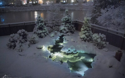 The Essential Fall Winterization Checklist to Protect Your Chicagoland Water Feature