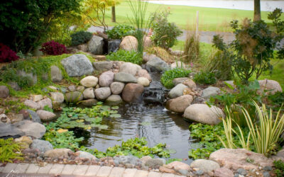 The Essential Role of Aquatic Plants in Low-Maintenance Pond Design
