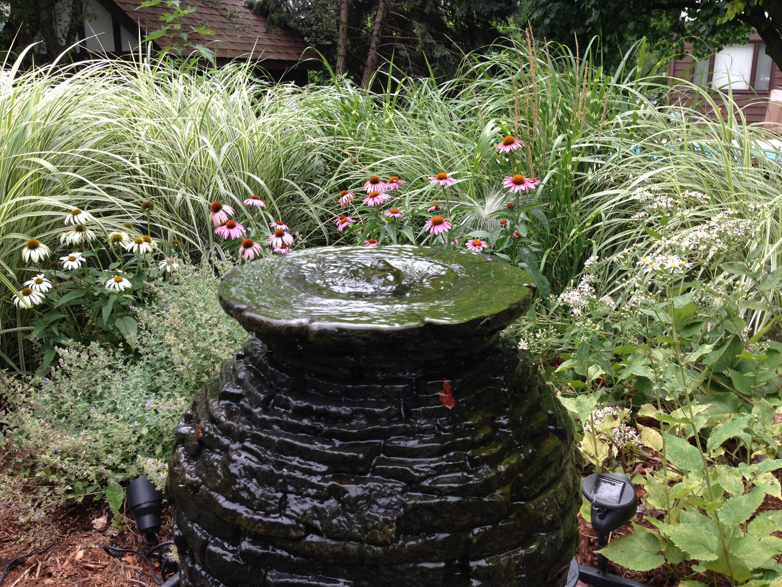 Bubbling Urn surrounded by plants