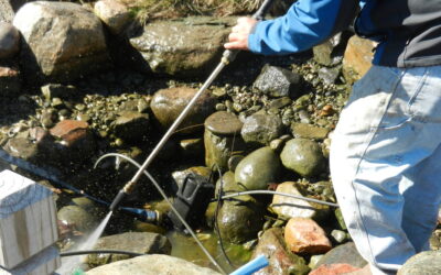 The Continuous Care Plan: Ongoing Pond Maintenance Services After Installation