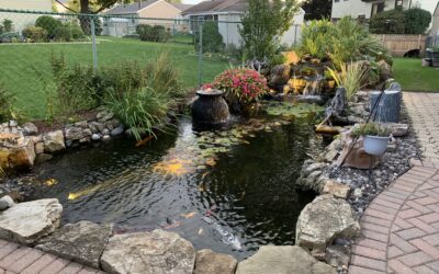 The Quick Timeline for Your St. Charles Pond Installation
