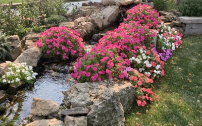 The Pondless Waterfall Advantage: Safety, Simplicity, and Ambiance in Chicagoland