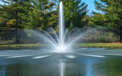 Specialized Lake, Fountains, and Aeration Services for Large Properties in Kane County