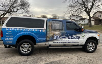 Worry-Free Water Features: Our Monthly Maintenance Program for Naperville & Chicagoland