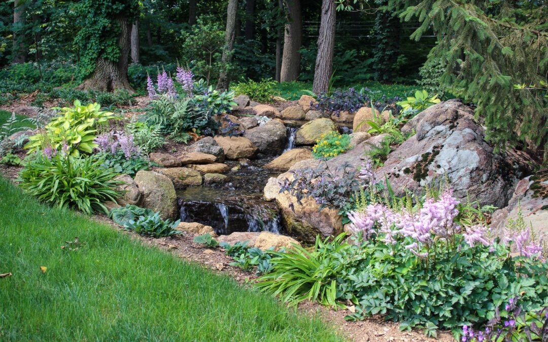 The Secret to Low-Maintenance Water Features: Design and Filtration Mastery