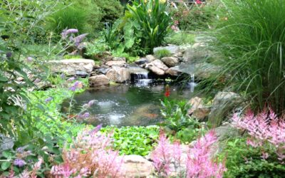 The Art of Water: Aqua Landscapes’ Philosophy on Personalized Custom Design