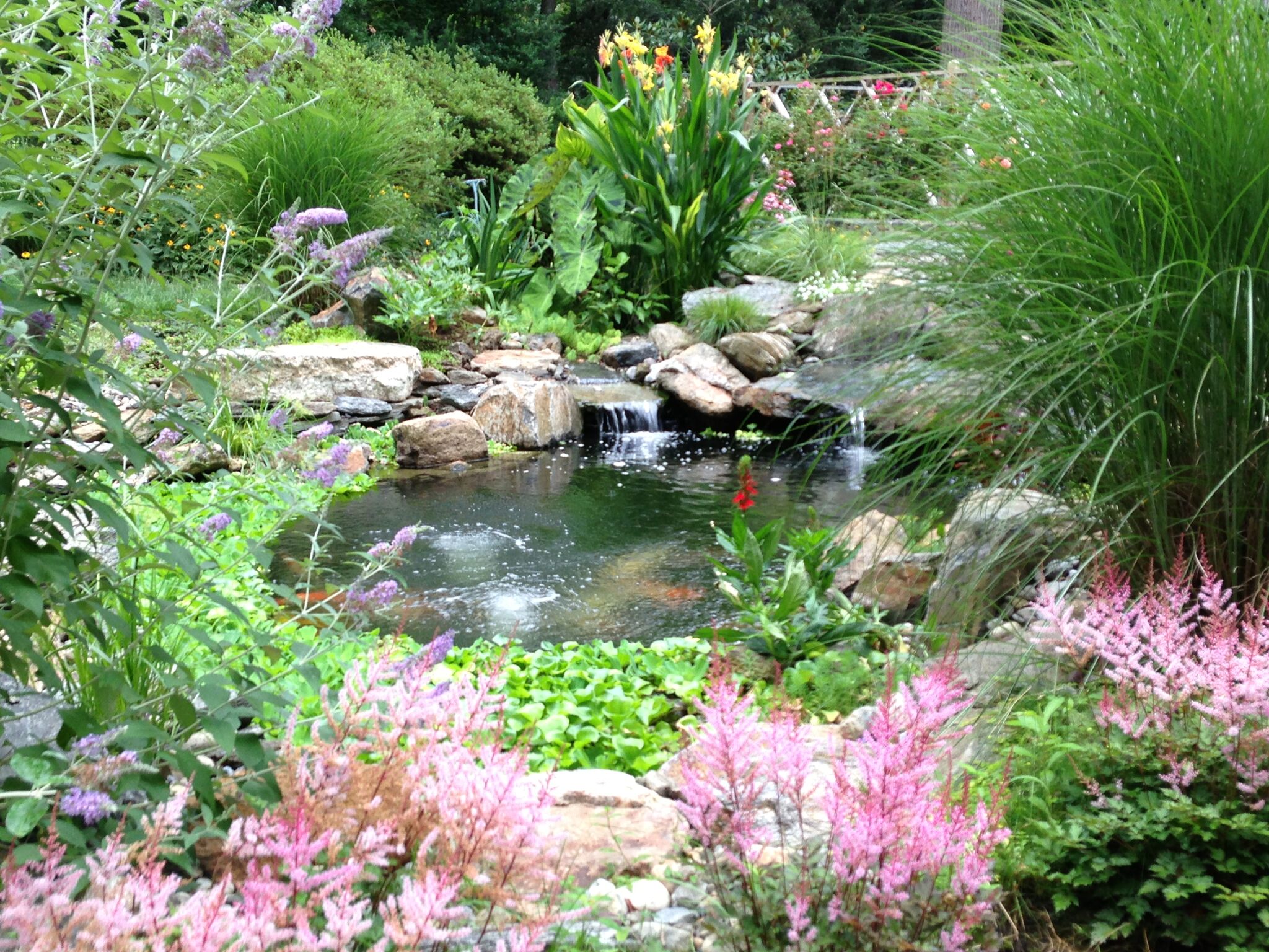 Pond Installation with beautiful surrounding plants