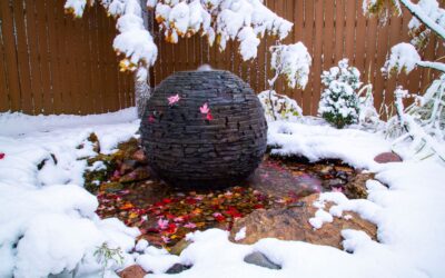 The Best Low-Maintenance Water Features for Your Chicagoland Backyard