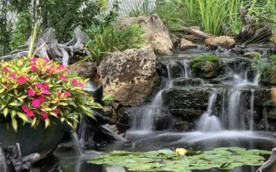 Why Aqua Landscapes is Chicagoland’s Premier Water Feature Specialist