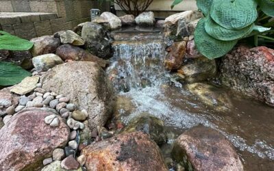 The Art of Sound: Customizing Your Pondless Waterfall Ambiance