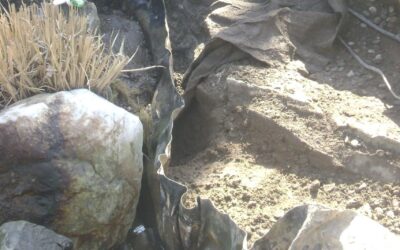 When to Call the Experts for Pond Leak Detection and Complex Repairs