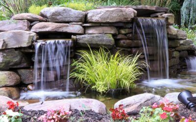Pond Installation vs. Pondless Waterfall: Comparing Water Circulation Systems