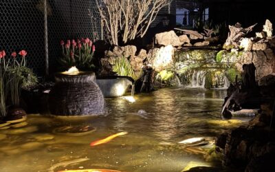 The Dramatic Impact of Low-Voltage LED Lighting on Your Fountainscape